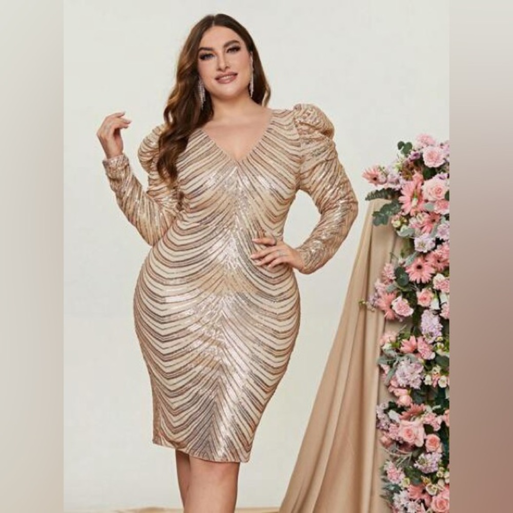 Pre-Owned Champagne Faeriesty Sequin Long Sleeve Dress